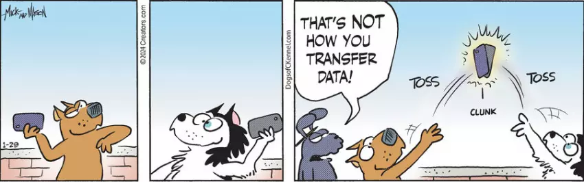 Dogs of C-Kennel for Jan 29, 2024