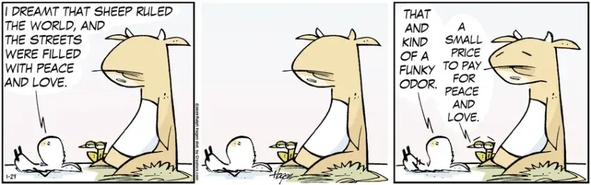 The Barn for Jan 29, 2025