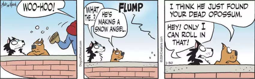 Dogs of C-Kennel for Jan 30, 2024
