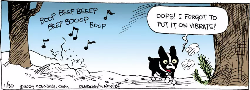 Zack Hill for Jan 30, 2024