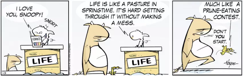 The Barn for Jan 31, 2024