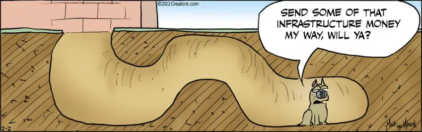 Dogs of C-Kennel for Feb 02, 2022