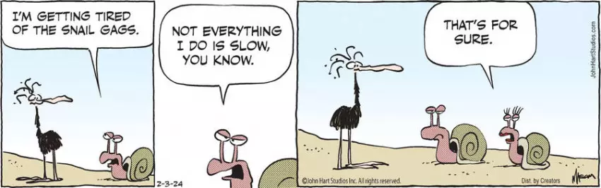 B.C. for Feb 03, 2024