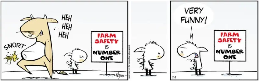 The Barn for Feb 03, 2025