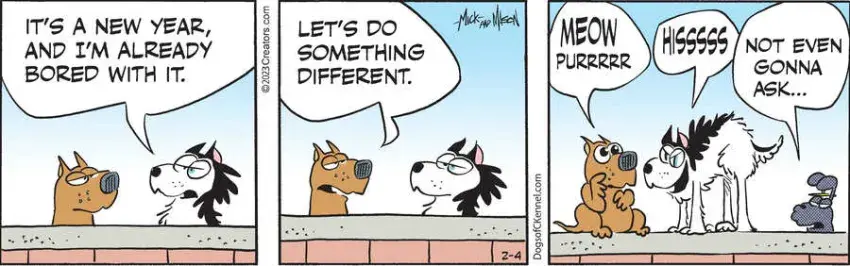 Dogs of C-Kennel for Feb 04, 2023