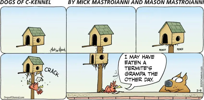 Dogs of C-Kennel for Feb 05, 2023