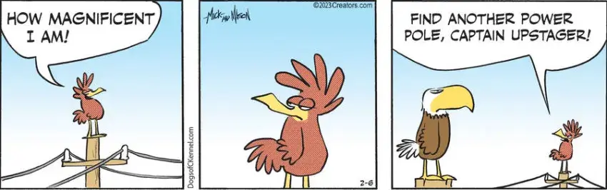 Dogs of C-Kennel for Feb 06, 2023