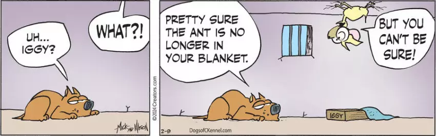 Dogs of C-Kennel for Feb 09, 2024