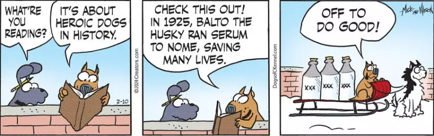 Dogs of C-Kennel for Feb 10, 2024