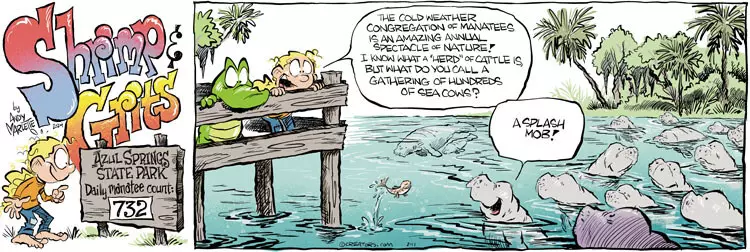 Shrimp and Grits for Feb 11, 2024