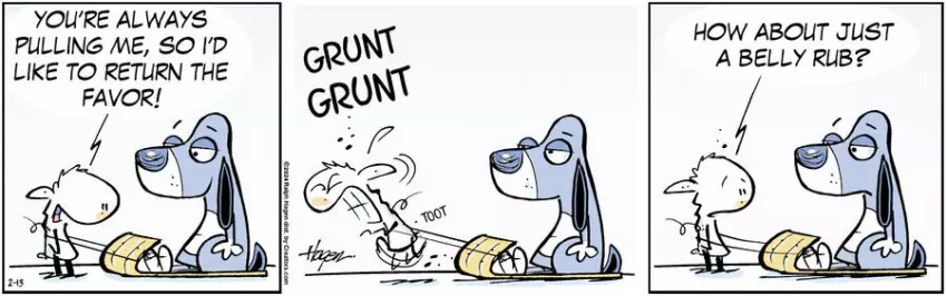 The Barn for Feb 13, 2024