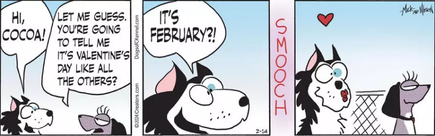Dogs of C-Kennel for Feb 14, 2024