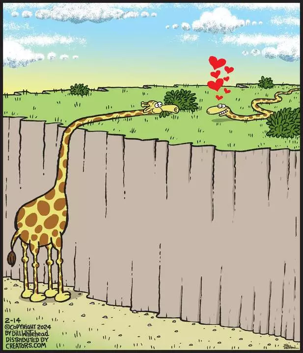 Free Range for Feb 14, 2024