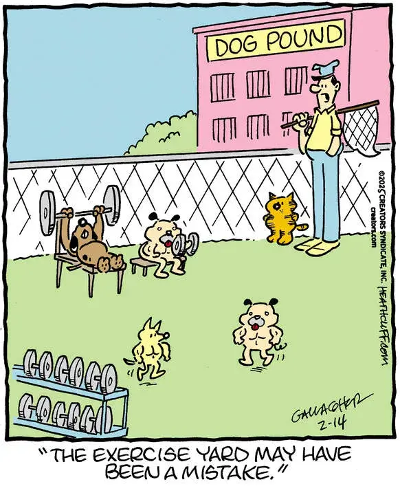 Heathcliff for Feb 14, 2025