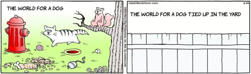 The Other Coast for Feb 15, 2024