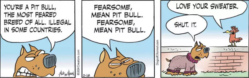Dogs of C-Kennel for Feb 16, 2024