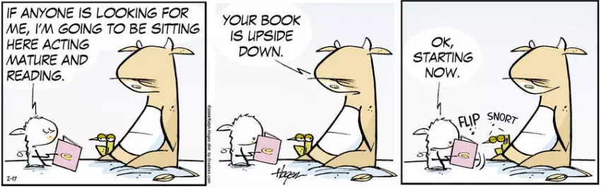 The Barn for Feb 17, 2024