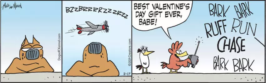 Dogs of C-Kennel for Feb 17, 2024
