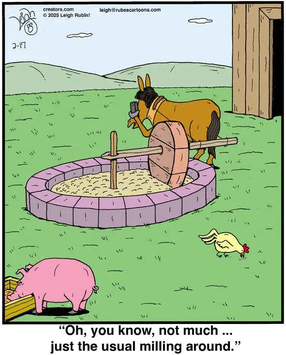 Rubes® for Feb 17, 2025