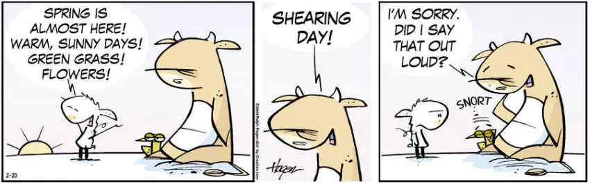 The Barn for Feb 20, 2024