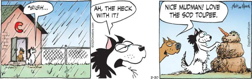 Dogs of C-Kennel for Feb 20, 2025
