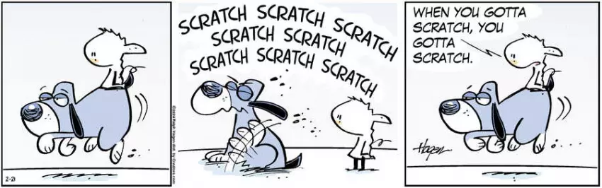 The Barn for Feb 21, 2024