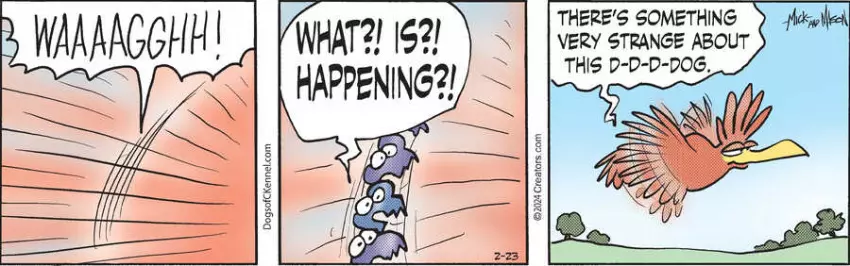 Dogs of C-Kennel for Feb 23, 2024