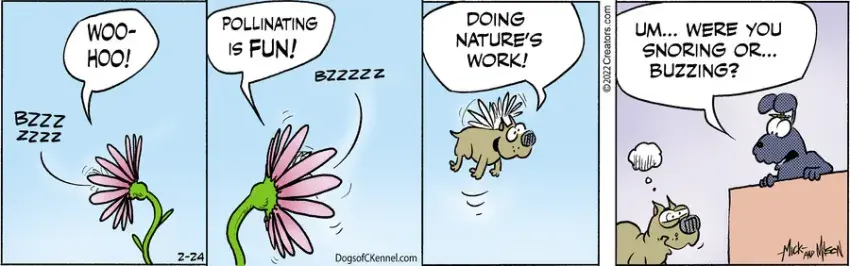 Dogs of C-Kennel for Feb 24, 2022
