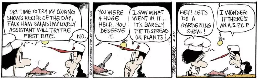 Agnes for Feb 24, 2023