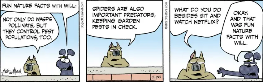 Dogs of C-Kennel for Feb 26, 2022