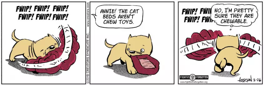 Dog Eat Doug for Feb 26, 2024