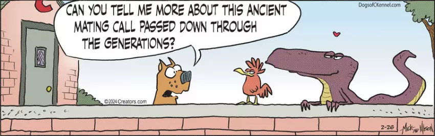 Dogs of C-Kennel for Feb 26, 2024