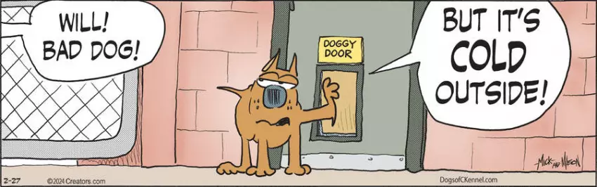 Dogs of C-Kennel for Feb 27, 2024