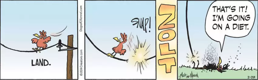 Dogs of C-Kennel for Feb 29, 2024