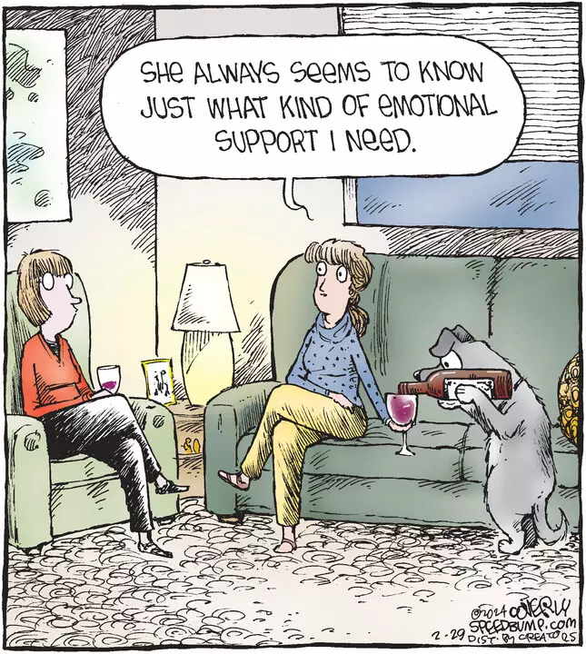 Speed Bump for Feb 29, 2024