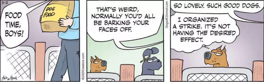 Dogs of C-Kennel for Mar 02, 2023