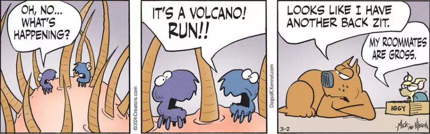 Dogs of C-Kennel for Mar 02, 2024