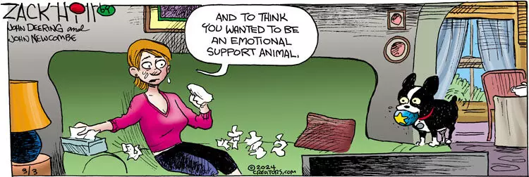 Zack Hill for Mar 03, 2024