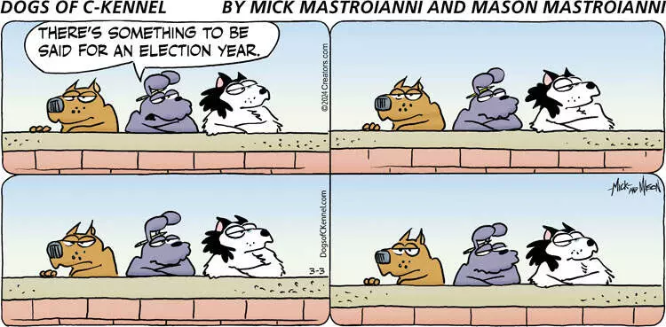 Dogs of C-Kennel for Mar 03, 2024