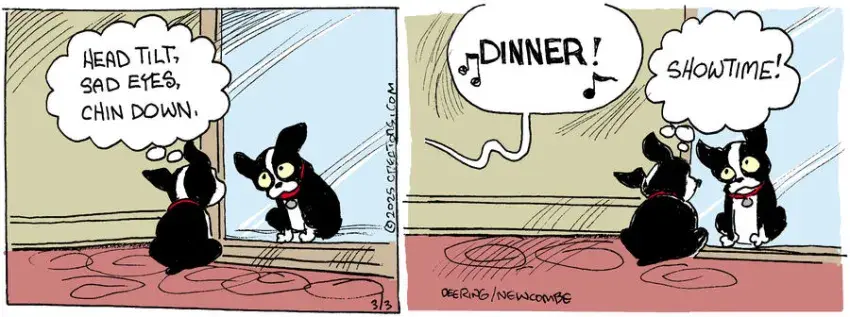 Zack Hill for Mar 03, 2025