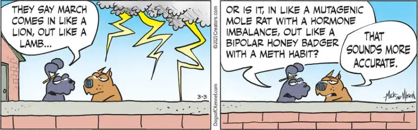 Dogs of C-Kennel for Mar 03, 2025