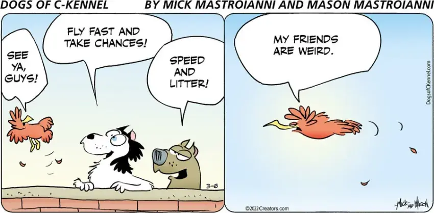 Dogs of C-Kennel for Mar 06, 2022