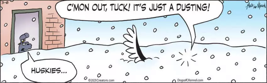 Dogs of C-Kennel for Mar 06, 2023