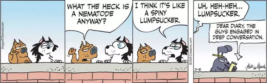 Dogs of C-Kennel for Mar 06, 2024