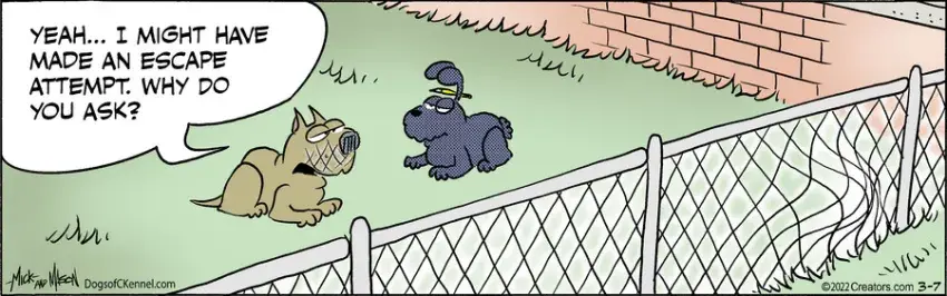 Dogs of C-Kennel for Mar 07, 2022