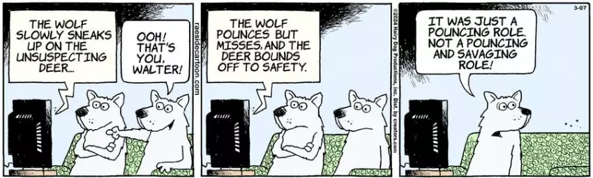 The Other Coast for Mar 07, 2024