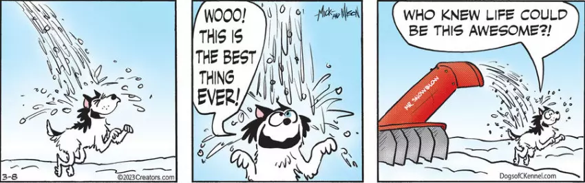 Dogs of C-Kennel for Mar 08, 2023