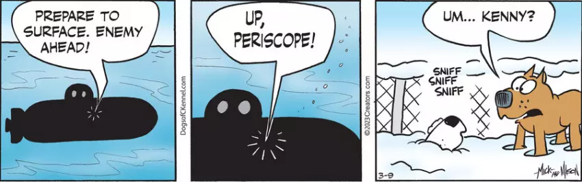 Dogs of C-Kennel for Mar 09, 2023