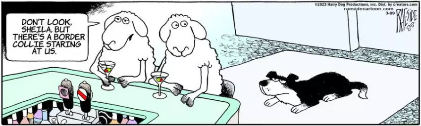 The Other Coast for Mar 09, 2023