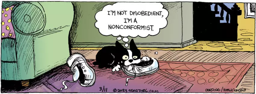 Zack Hill for Mar 11, 2023